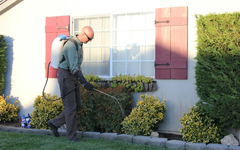 Elite Pest & Wildlife Control of Miramar, Pest Control in Miramar